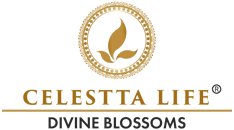 Best Skin and Body Care Products for relaxation | Massage Oil | Celestta Life